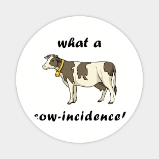 What a Cow-Incidence! Magnet